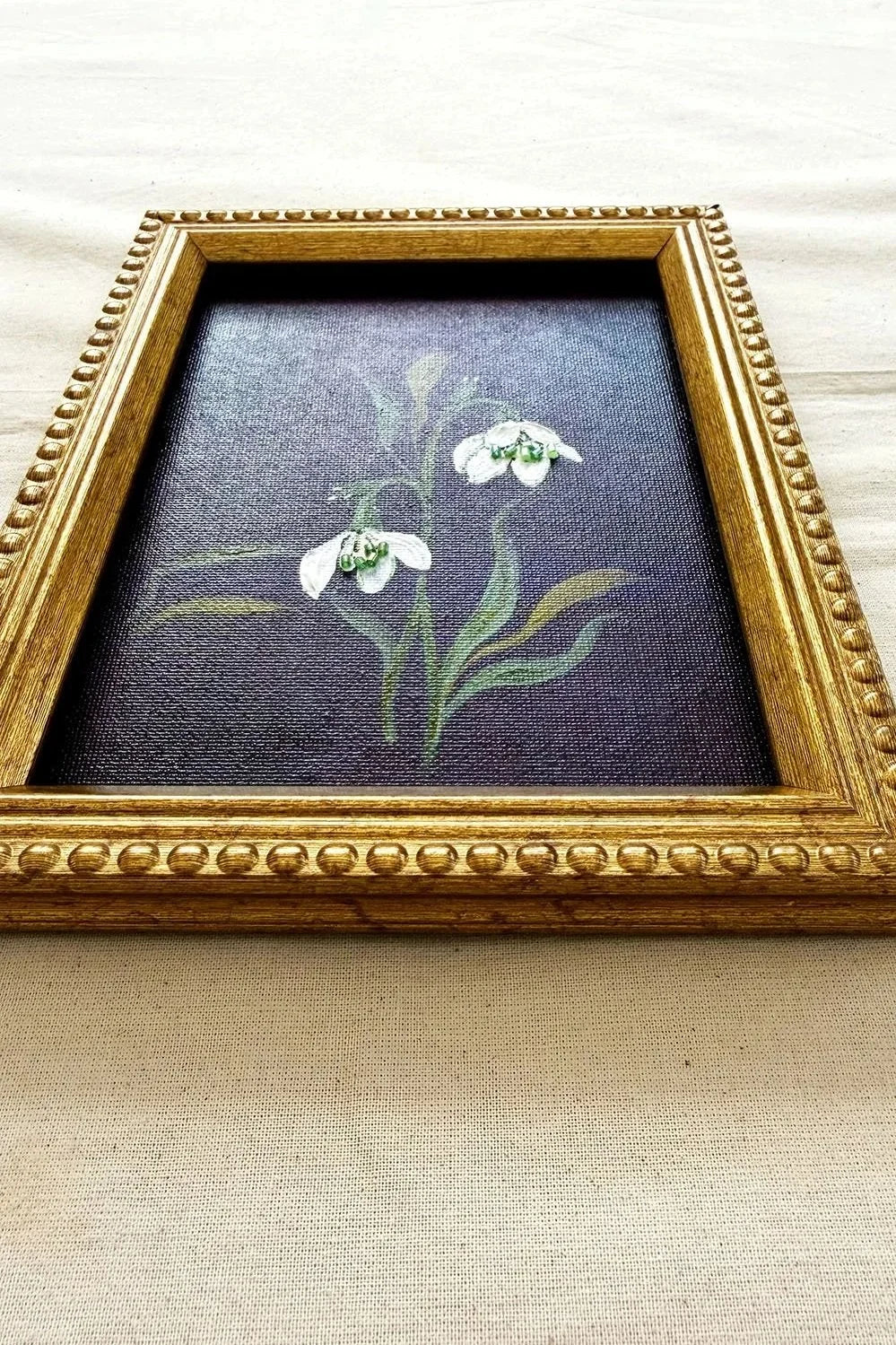 Snowdrop - Framed Original January Floral (5x7)